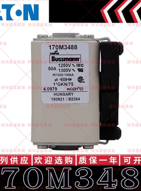 170M系列巴斯曼快速熔断器 170M3488 170M3489 170M3490 170M3491