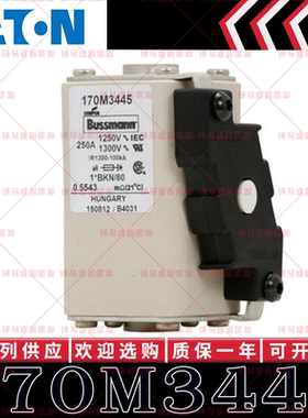 170M系列巴斯曼快速熔断器 170M3445 170M3446 170M3447 170M3448