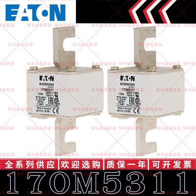170M系列巴斯曼快速熔断器 170M5313 170M5314 170M5315 170M5316