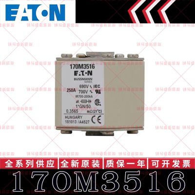 170M系列巴斯曼快速熔断器 170M3516 170M3517 170M3518 170M3519