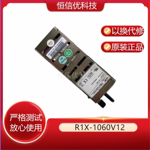 新巨RG1X/G1X/R1X-1060V12模块