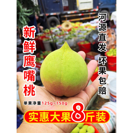 广东连平当季新鲜鹰嘴桃脆甜爽口5斤8斤大果现摘应季果毛桃水蜜桃