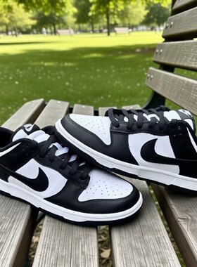 Nike Dunk 耐克经典复古舒适百搭透气运动鞋休闲板鞋HF5441-100