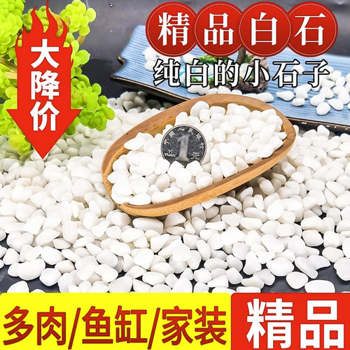 官方推荐白石鹅卵石多肉盆栽铺面