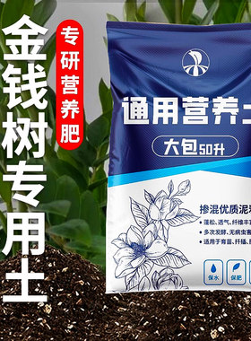 种金钱树专用土花营养通肥料