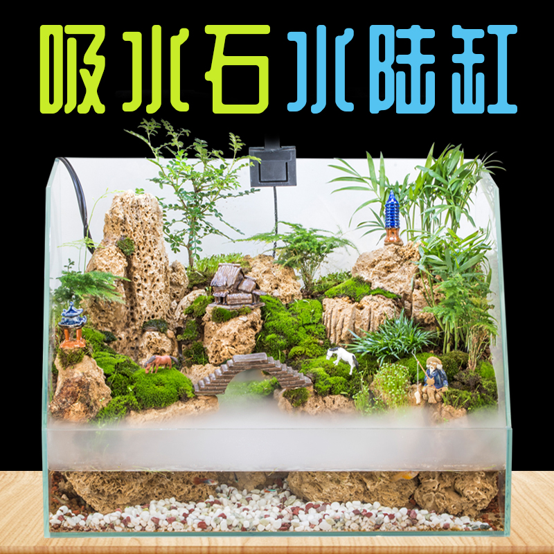 吸水石水陆缸造景套餐上水石假山盆景摆件素材两栖植物超白乌龟缸