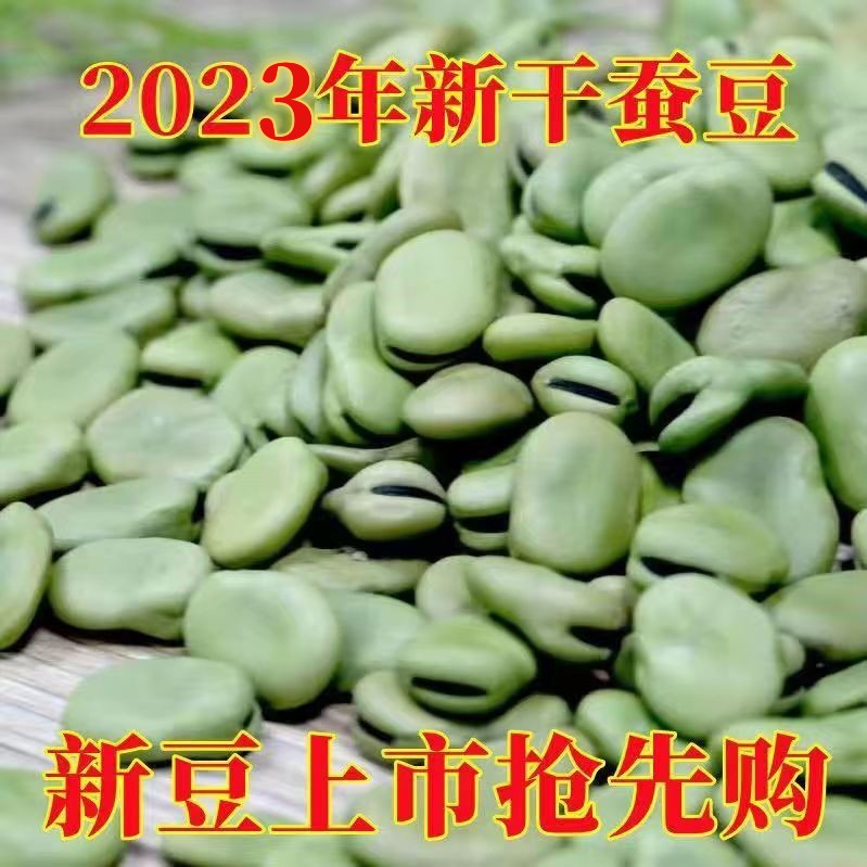 5斤精选绿皮干蚕豆可发芽可食用