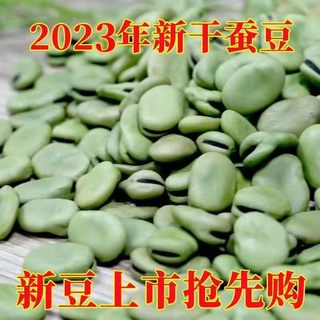 新货干蚕豆农家新货生的绿胡豆种籽可发芽做油炸罗汉豆莲花豆散装