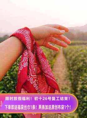 Flora红色黑色蓝色绿色腰果花欧美韩国嘻哈百搭手腕丝巾头巾发带