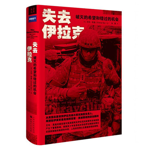 伊拉克社会，美军的复杂性、多样性和演变性