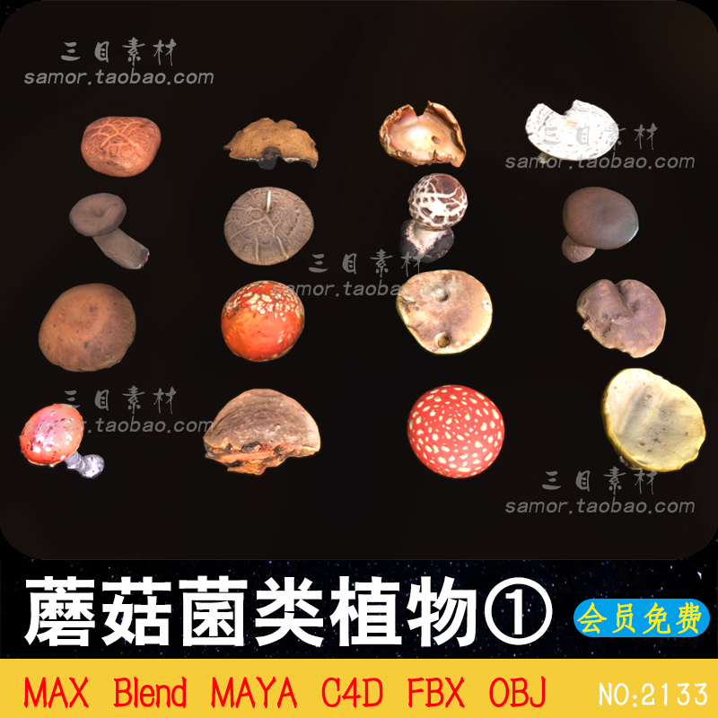 FBX蘑菇菌类植物MAX自然森林资产OBJ设计素材C4D建模渲染MAYA模型