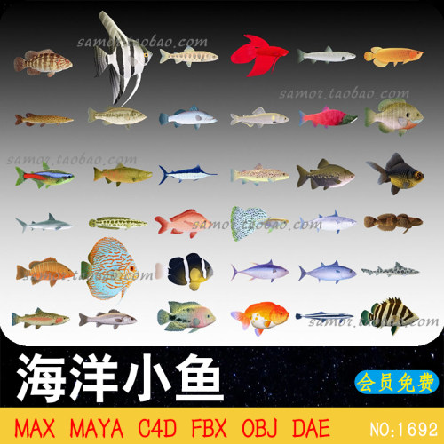 海洋水族七彩鱼群DAE金鱼鲨鱼MAX大海动物OBJ素材3D文件MAYA FBX