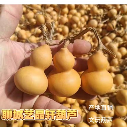 天然葫芦文玩带龙头手捻把玩小精品野生葫芦迷你家居客厅摆件烙画