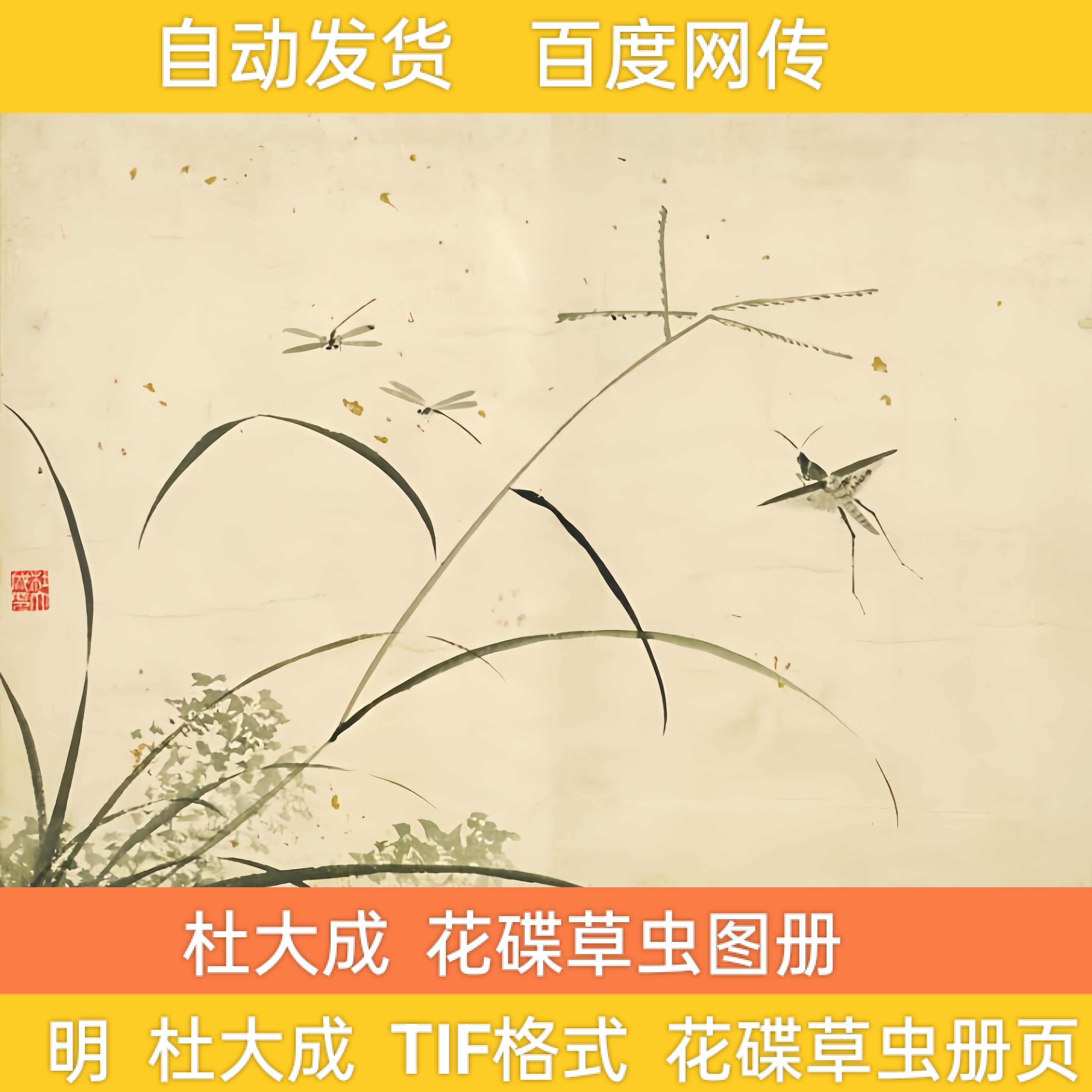 明 杜大成 花碟草虫画册 高清图水墨工笔花碟草虫图临摹素材