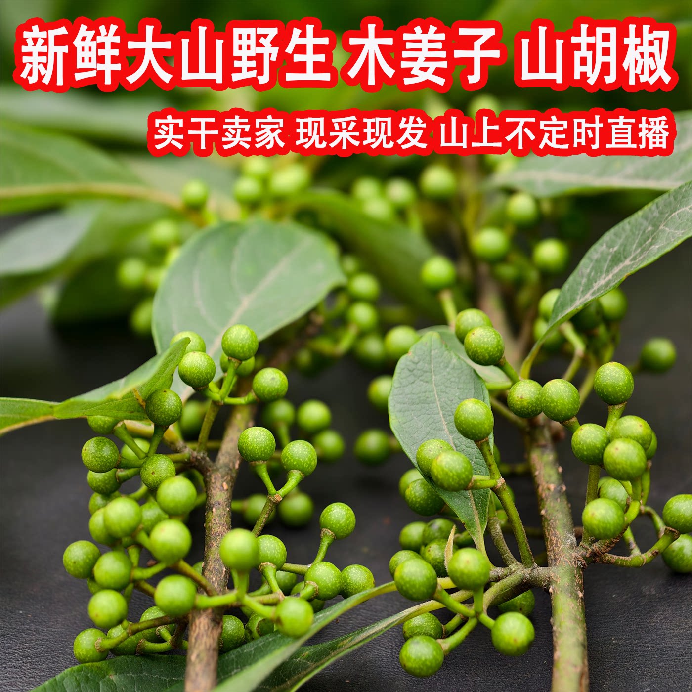 贵州野生木姜子新鲜山胡椒颗粒山苍子木浆子现摘天然生吃蔬菜包邮