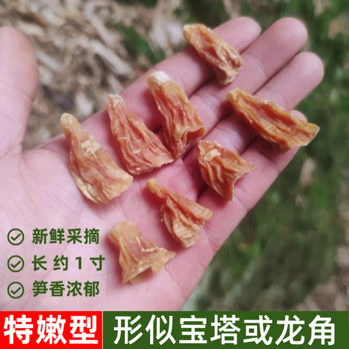 特嫩冬笋尖笋干嫩笋宝尖贵州农家自制特产竹海玉兰片四川野生干货