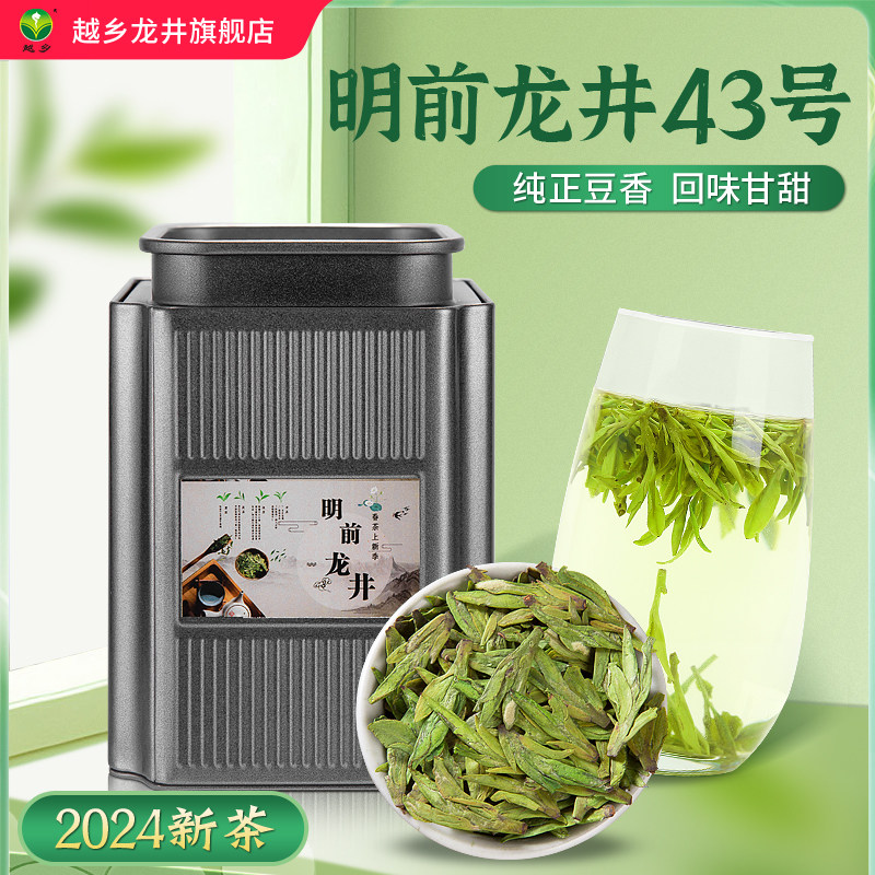 2023新茶上市越乡明前龙井茶43号250g茶叶高山春茶绿茶特级豆香型
