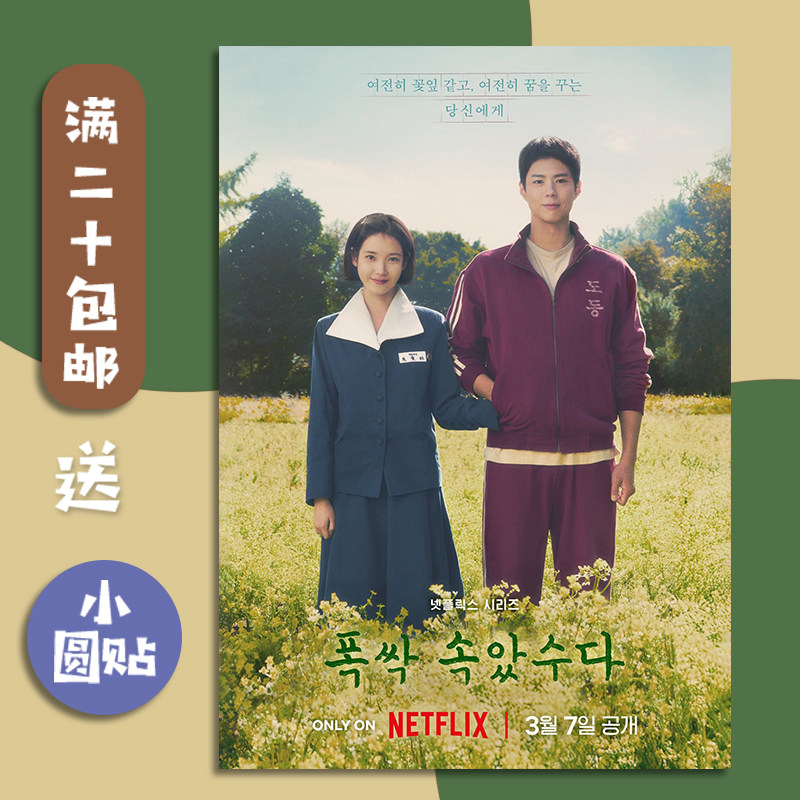 苦尽柑来遇见你海报墙贴
