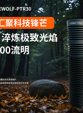 独狼PTR30强光泛光迷你便携式户外手电筒
