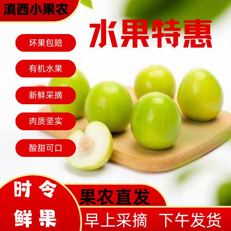 云南保山新鲜酸麻阔果酸脆嫁接