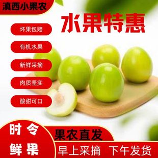 【现采现发】云南保山新鲜酸麻阔果酸脆嫁接青枣原树新鲜水果酸枣