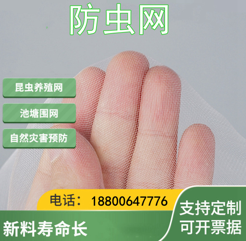 蔬菜大棚防虫网100农用种植加厚