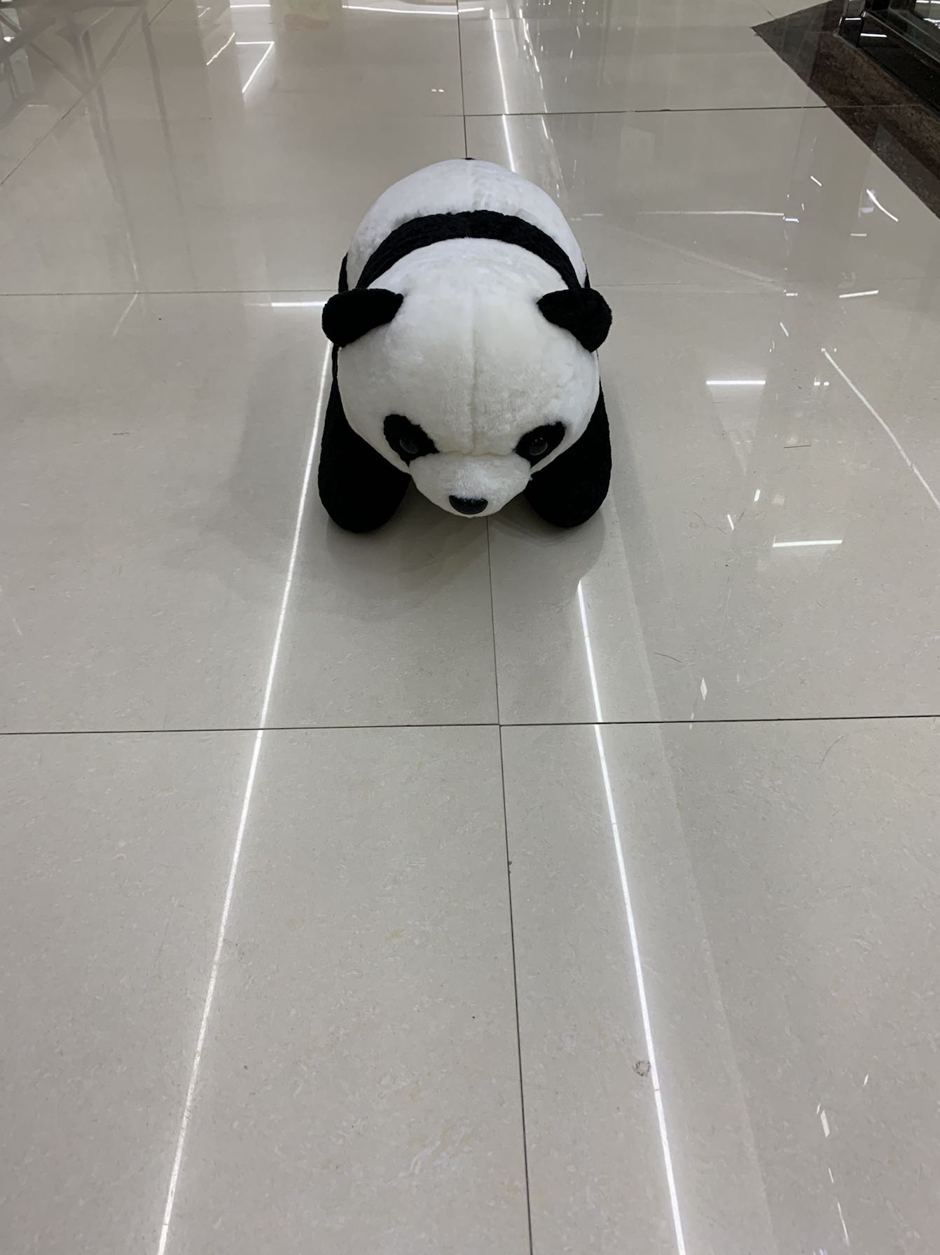 真羊毛大熊猫毛绒抱枕儿童大熊猫