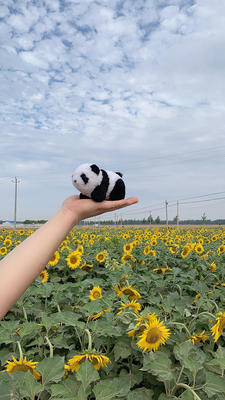 可爱软萌熊猫钥匙扣创意挂饰真毛真皮书包挂件饰品小玩偶情侣配饰