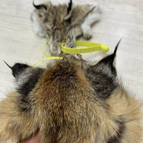 可做手工真毛山猫猞猁耳朵原料制作可爱兽耳发饰漫展表演cos道具