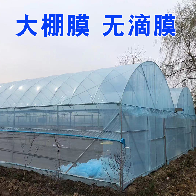 进口大棚膜PO灌浆消雾无滴保温塑料薄膜布防晒加厚养殖隔热黑白膜