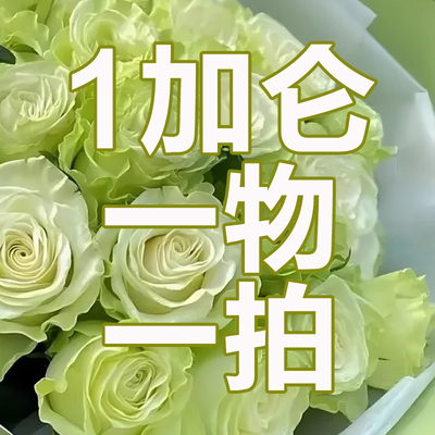 一物一拍备注品种名+编号
