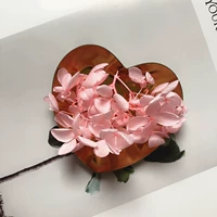 Розовый красный свет яркий порошок 1G