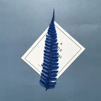 Лысые синие около 10-15 см