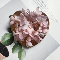 Молочный белый розовый синий фиолетовый цвет 1G