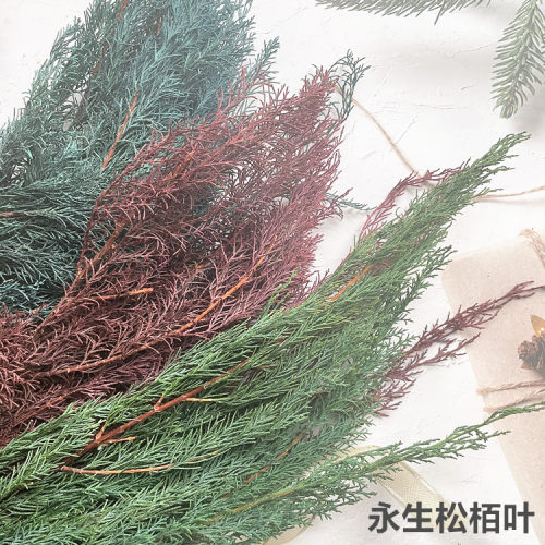 永生花diy材料 小份松柏松栢叶礼盒玻璃罩藤圈圣诞节装饰材料
