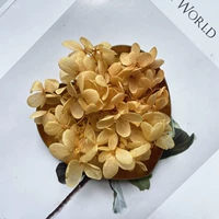 Оранжевый выпуск