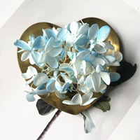 Синие и белые два -колор 1G