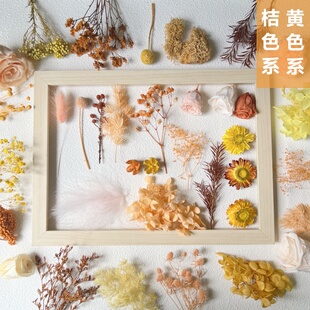 永生花DIY材料 橙色桔色系黄色系点缀配材永生玫瑰花头叶子类植物