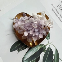 Фиолетовый и белый двойной цвет 1G