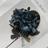 Синий серый два -лор 1G