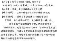 1 грамм установленная гортензия