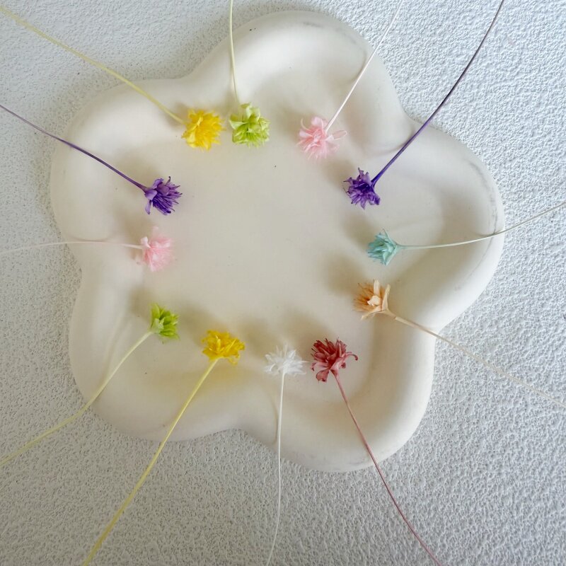 永生花diy材料 巴西干花小山花小份装 手工贺卡戒指植物材料图片