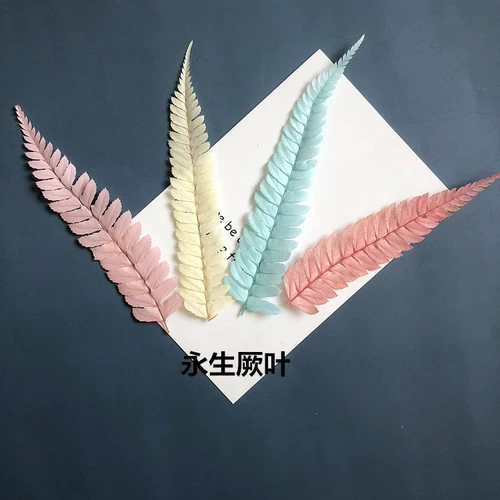 Вечная жизнь цветочный материал Jueya с травяной драконом бороды листья травы, стеклян