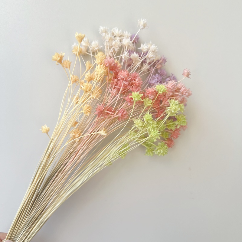 永生花diy材料 整束小山花巴西干花 花束包装装饰永生花戒指材料
