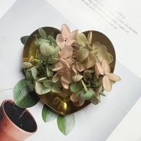 Розовый зеленый цвет градиент 1G