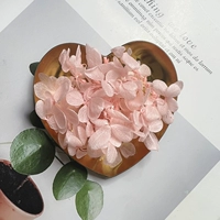 Прозрачный глубокий вишневый порошок 1G