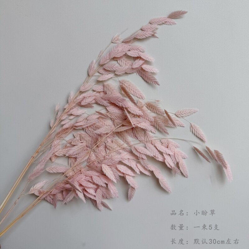 永生花diy材料整束小盼草风铃草干花 花束包装装饰永生花戒指材料图片