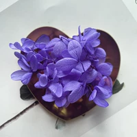 Фиолетовый