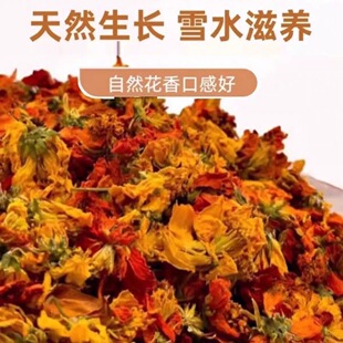 天山红冰菊 天山雪菊帕米尔高山雪域昆仑冰菊好茶花香养生茶冲泡