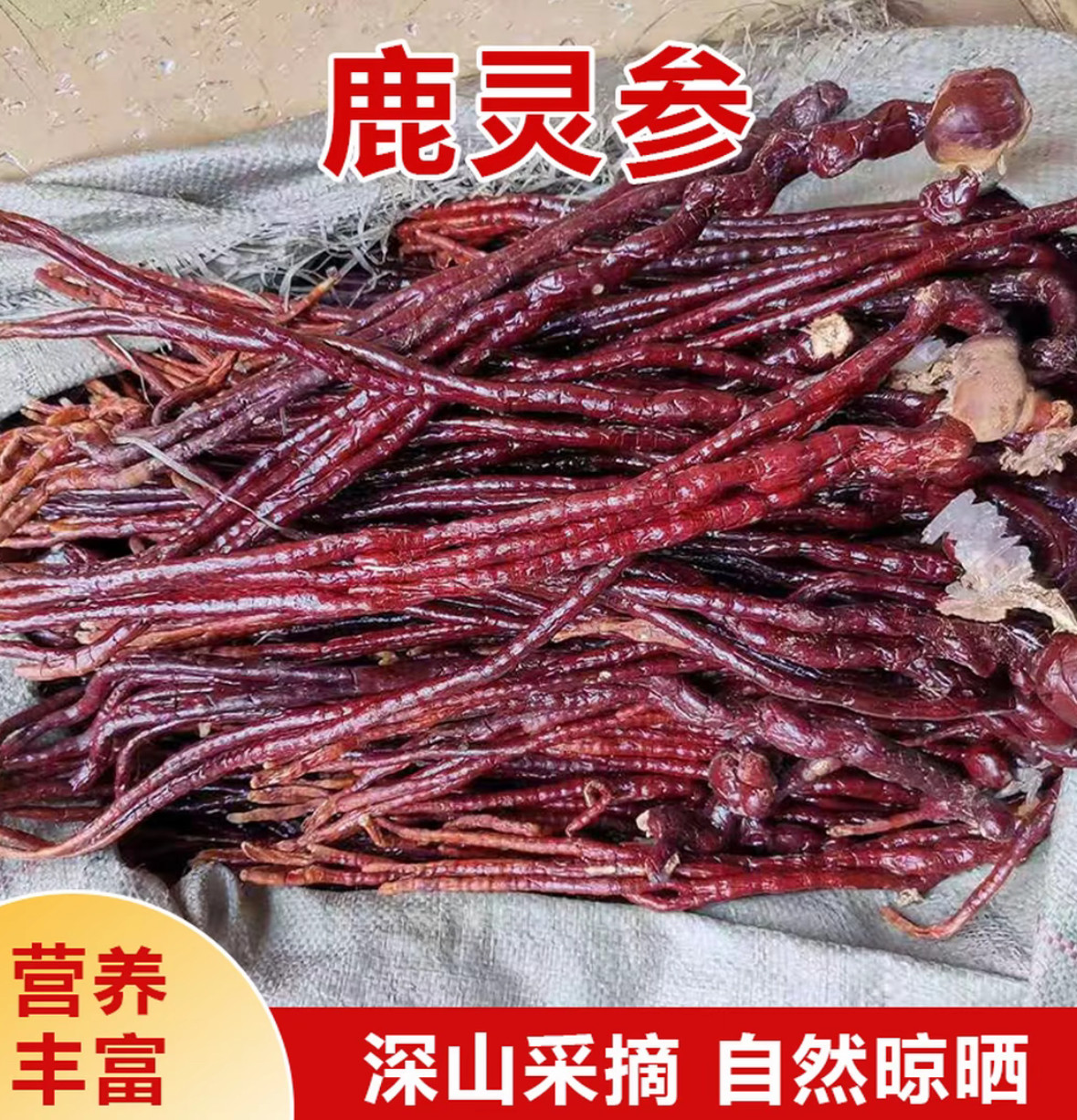 鹿灵芝整枝深山鹿角草男性泡水泡酒鹿灵芝云南腾冲中缅阿松现收图片
